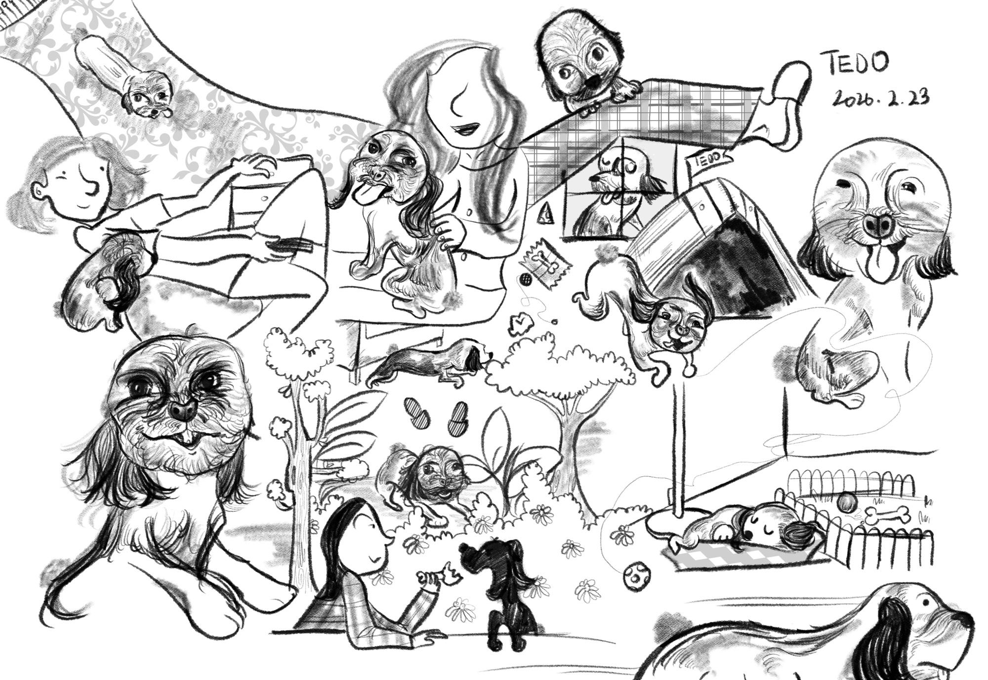 Tedo — a page of pencil sketches of a small dog playing, sleeping and making faces